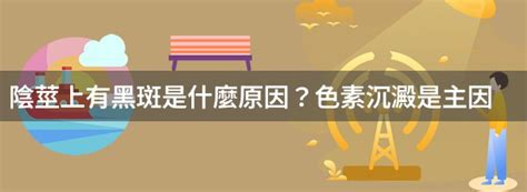 黑色陰莖|陰莖上有黑斑是何原因？要緊嗎？